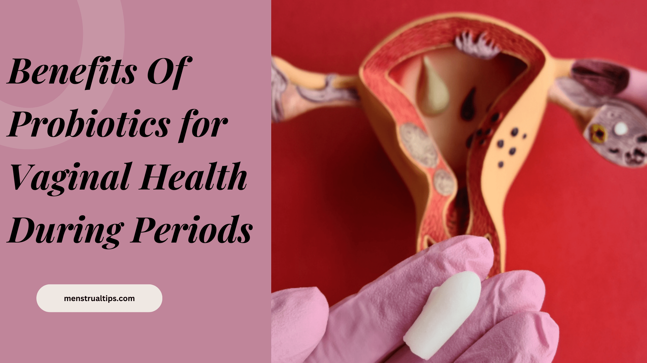 Benefits Of Probiotics for Vaginal Health During Periods